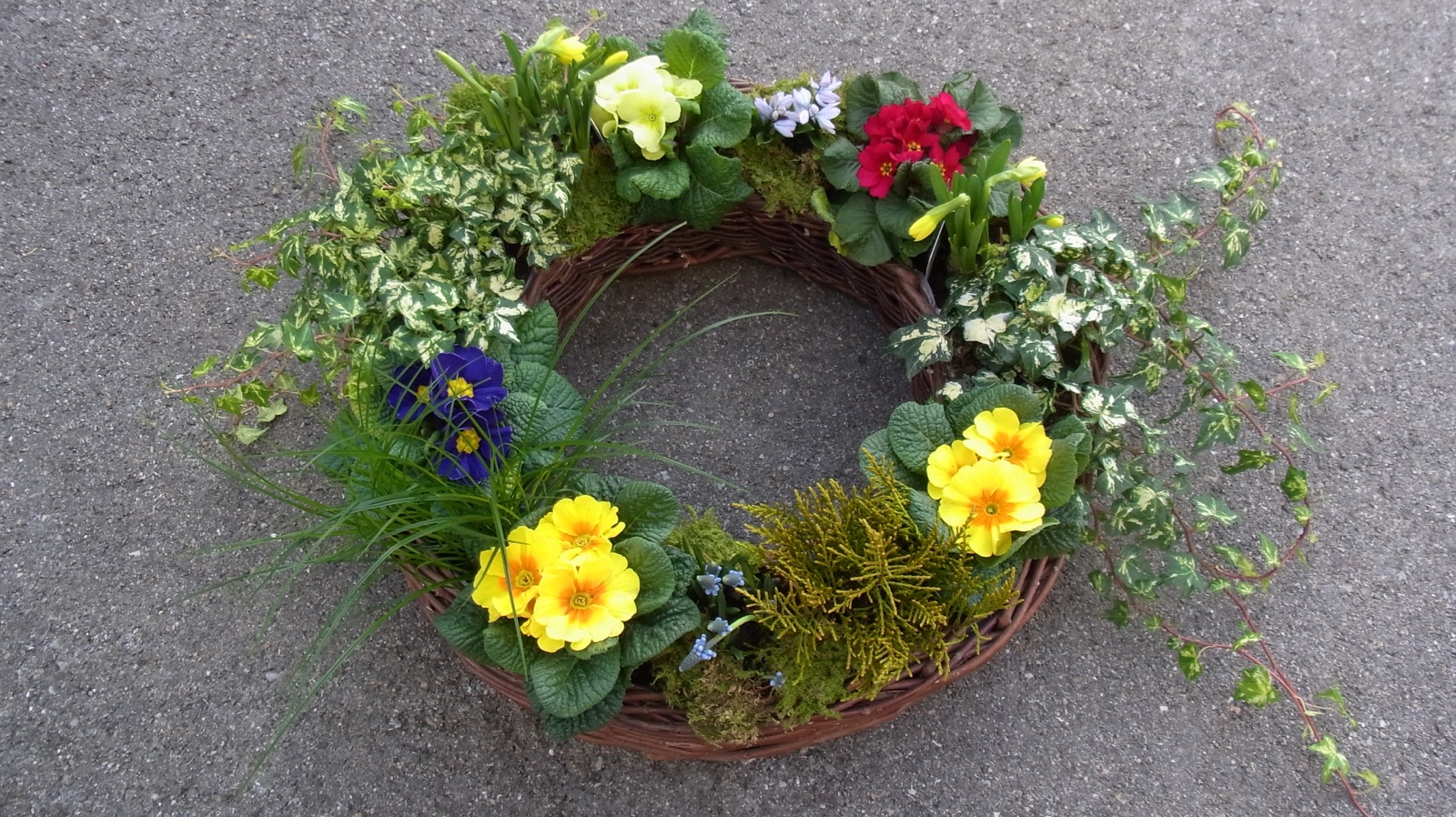 Fruehlingskranzbepflanzt2