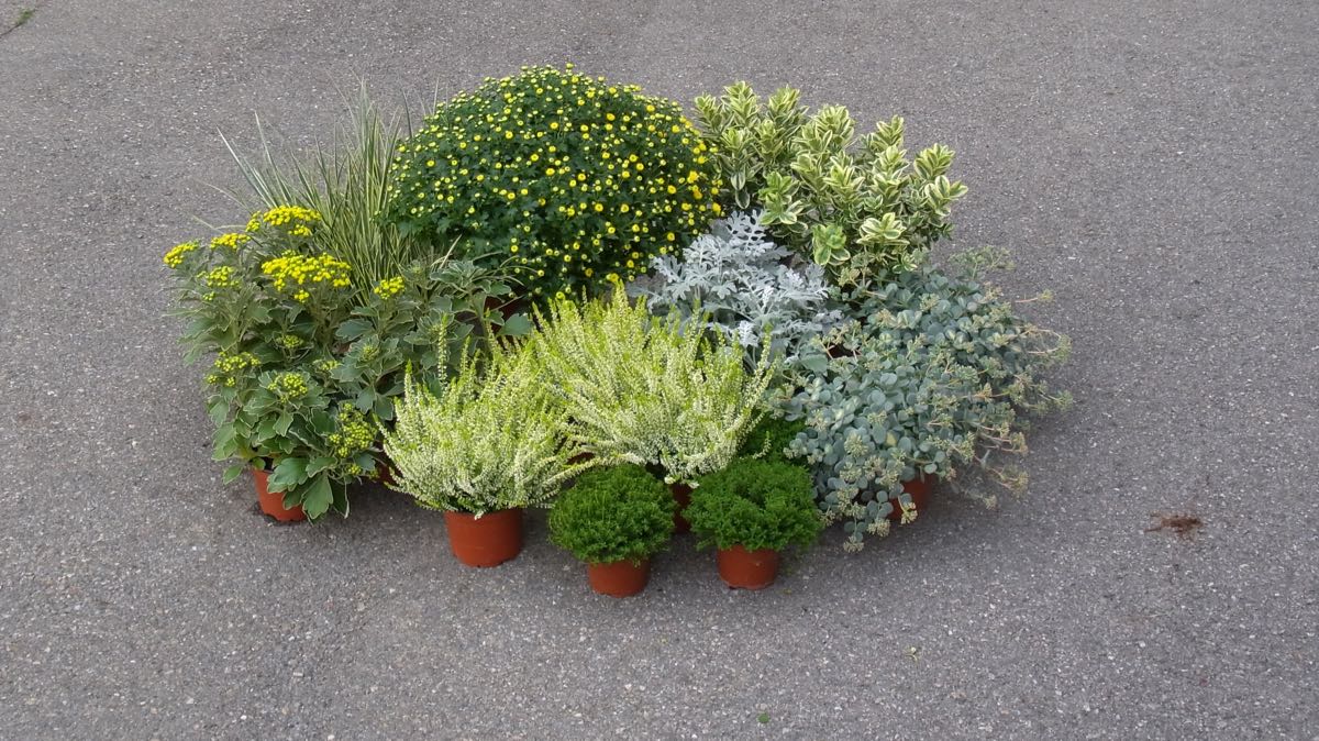 Herbstzauber 7