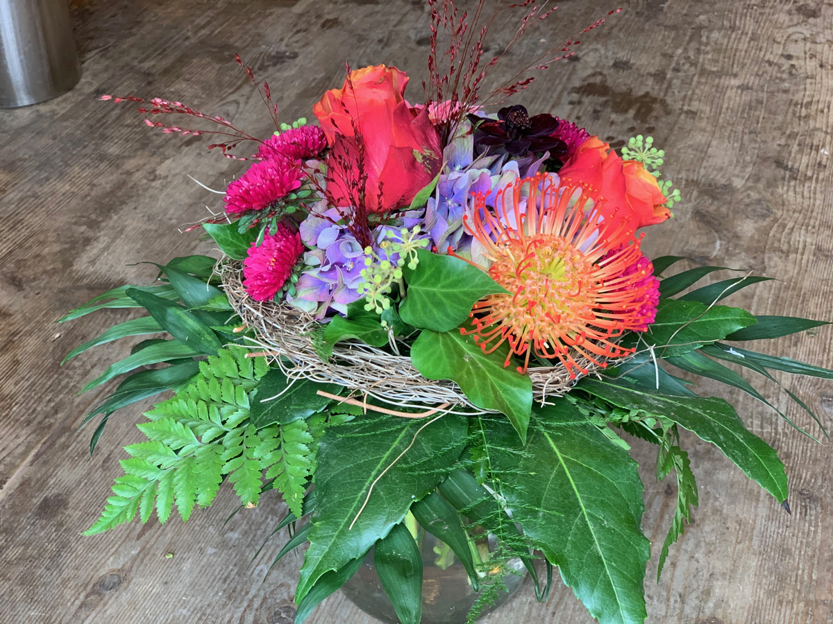 Strauss Mit Protea
