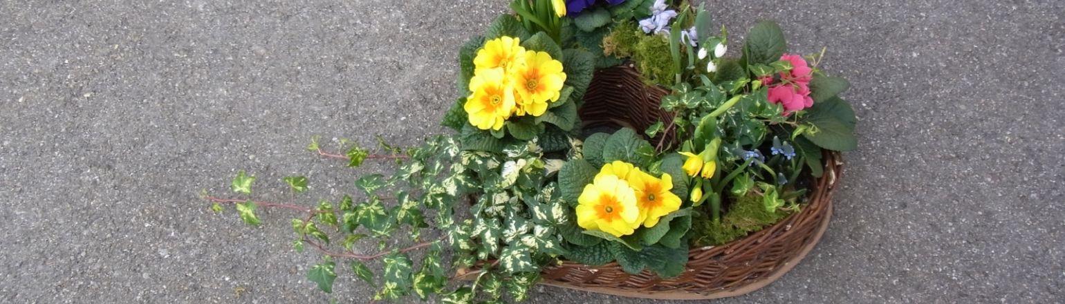 Fruehlingsherz bepflanzt